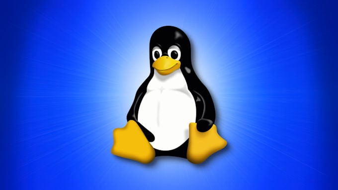 setup everything that linux or windows system administrators do