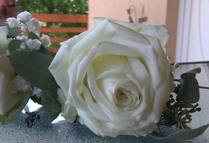 make a short film from photos and videos made by you