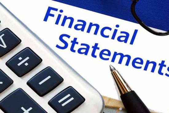 provide financial statements, ratio analysis and accounting