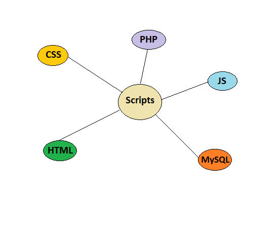 Write scripts using php, mysql, js, html, and css by Fatima19_12 | Fiverr