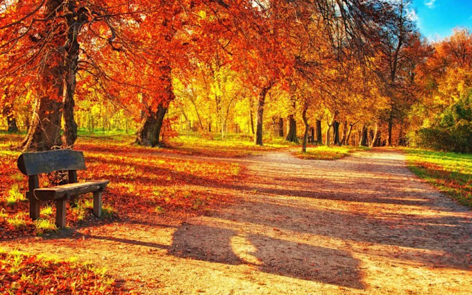 edit photos with adobe photoshop