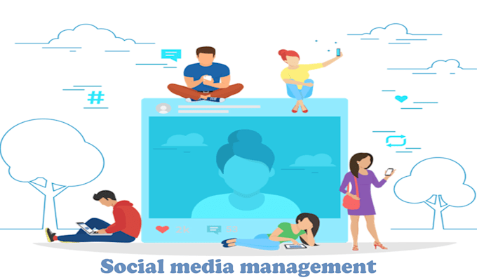 social media management and content