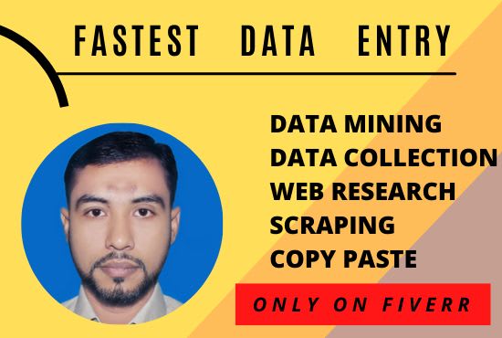 do fastest data entry, data collection, internet research