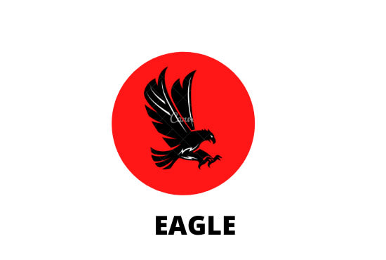 create amazing super famous logo