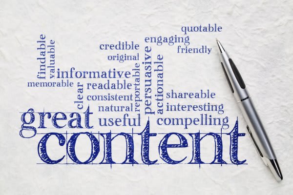 write blog posts and website content with professionalism