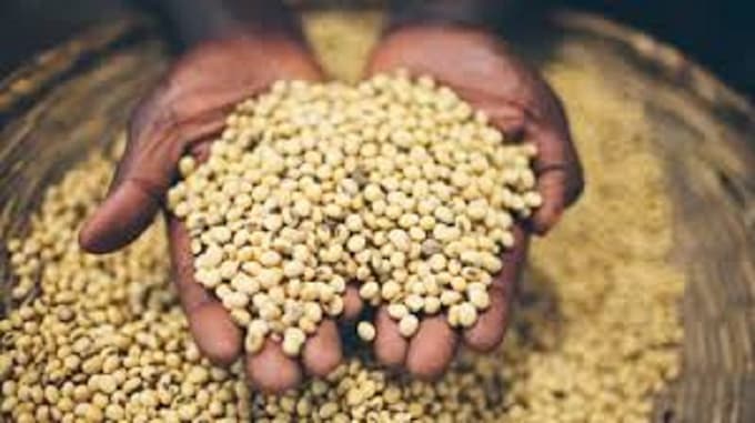 write articles related to agriculture and food security