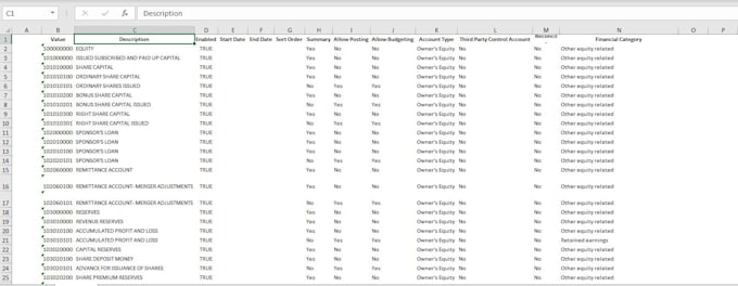 provide excel services and data preperation