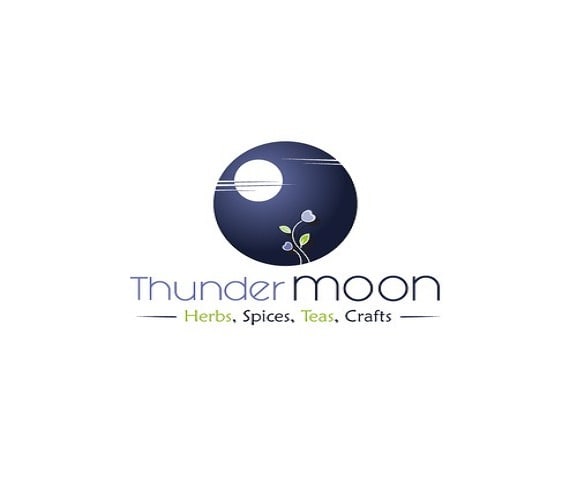 design thunder moon logo in 1  day