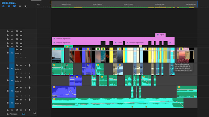 do professional video editing, 100 percent satisfied