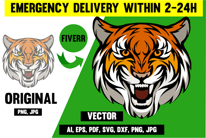 do,vector tracing,vectorise,redraw logo,skech,convert image,illastration with24h