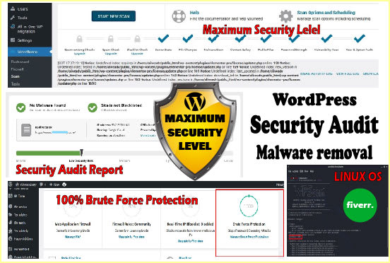 remove malware from wordpress website