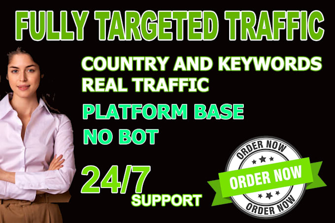 provide daily 1000 fully targeted website traffic