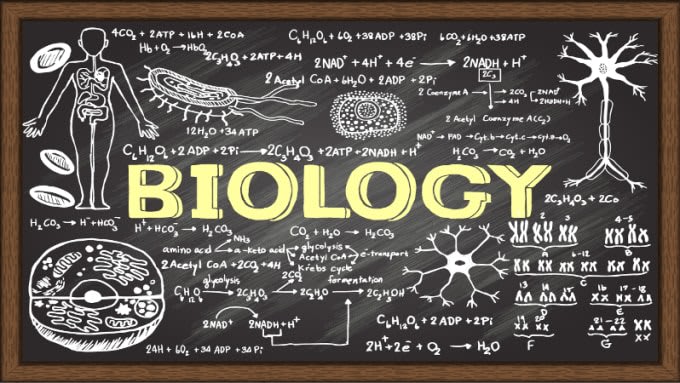 write articles on microbiology, health science, physiology etc