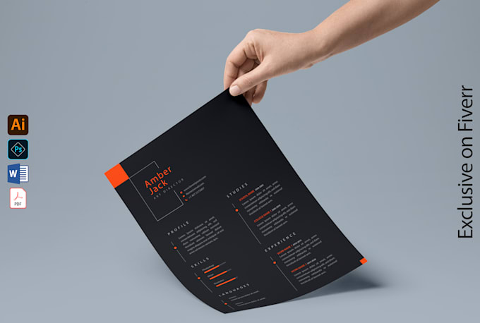 design a professional and stunning resume