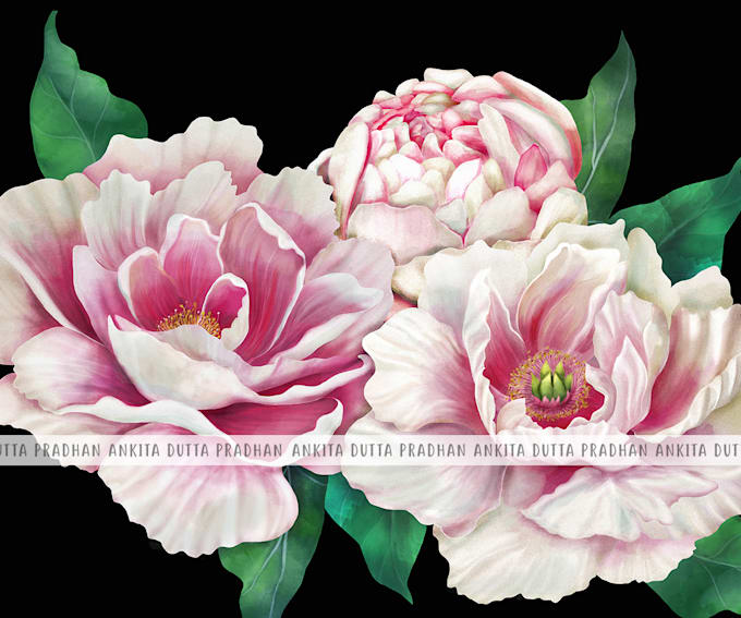 draw flowers for wall art, patterns, prints and textile