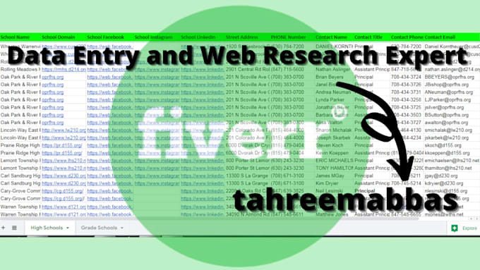 do perfect data entry, web research, and copy paste