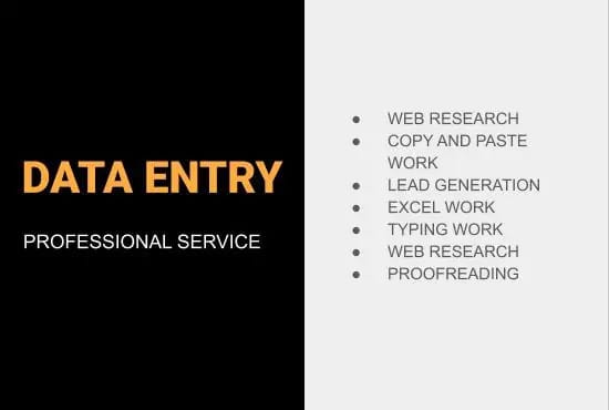 excel expert, data entry