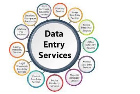 do data entry, web research and data cleaning