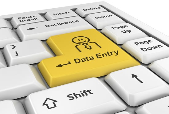 do 5 hours of expert Data Entry work