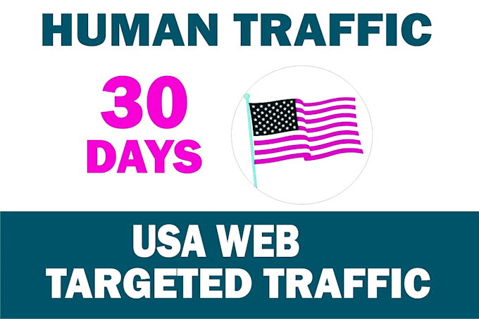 real organic USA targeted website traffic