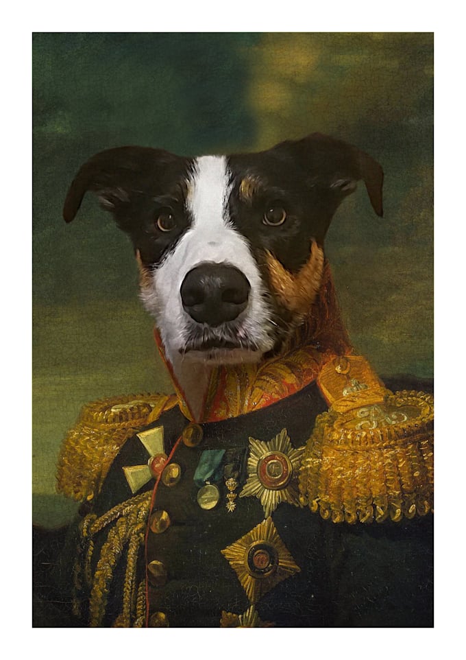 Create a royal pet portrait on template by Cheolwoo Fiverr