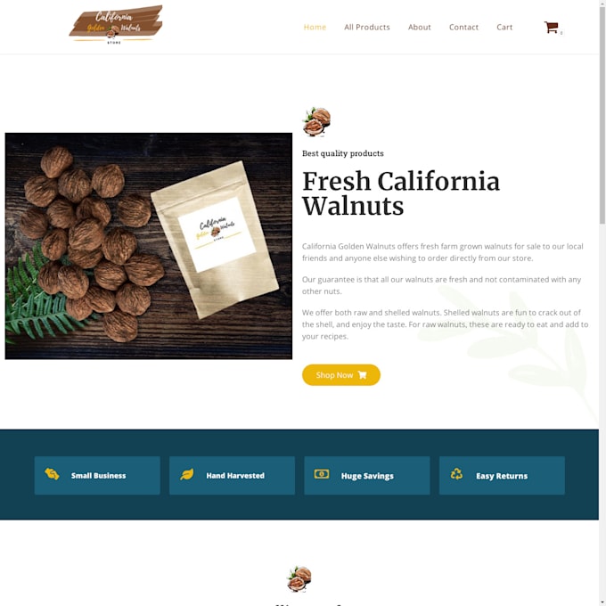 make a customized website audit and consultation