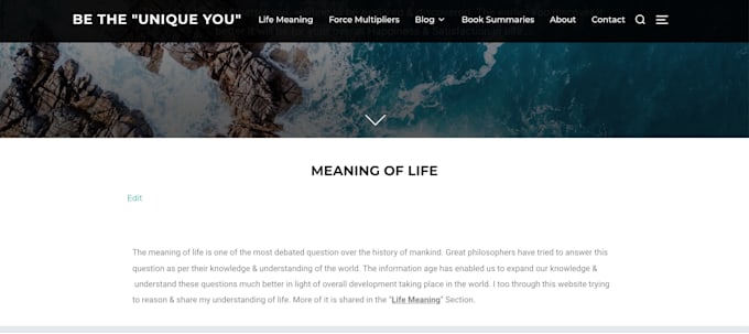 content writer and blog writing and research writing