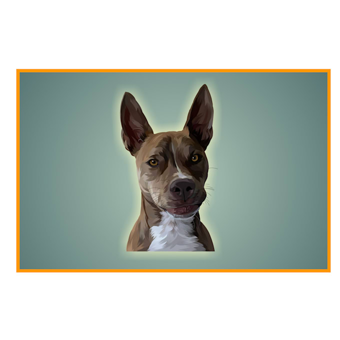 draw your pet into vector cartoon