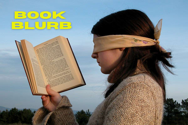 write a compelling book blurb that converts