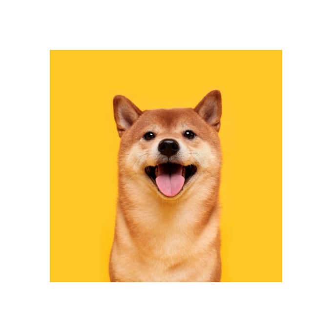 delete any background from the photo