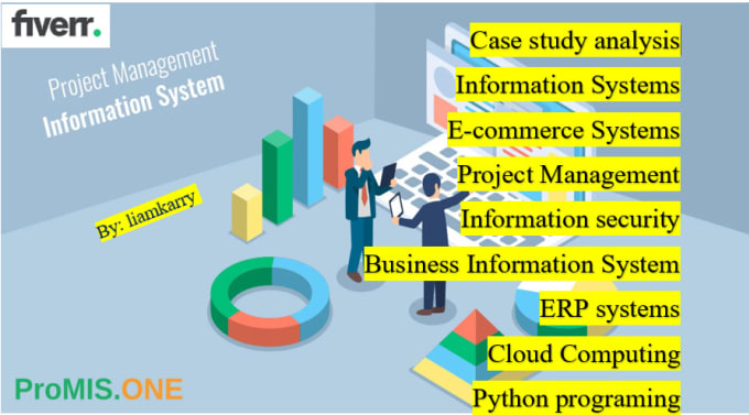 Hire a freelancer to do management information systems, information technology research