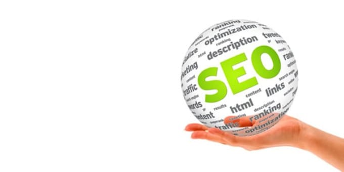 give You SEO Action Plan For New Site