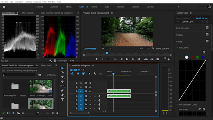 edit a professional videos for you