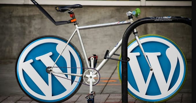 advanced technical assistance on websites in wordpress