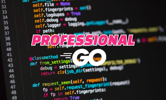 Hire a freelancer to develop your application in golang