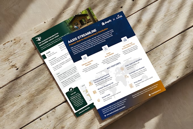 design professional flyer, postcard in 24 hours