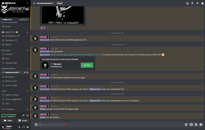 make you a professional discord server