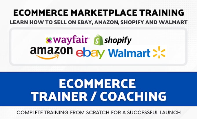 teach you amazon, ebay, walmart, shopify dropshipping