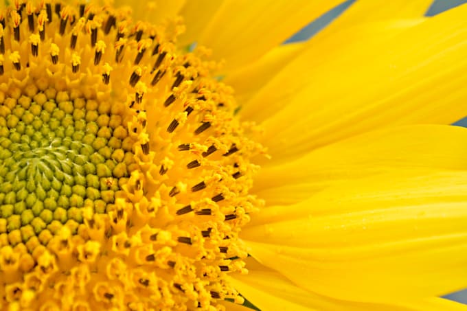 balance your solar plexus chakra
