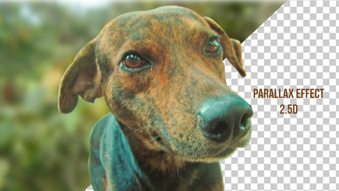 create stunning motion photo videos cinemagraph effect