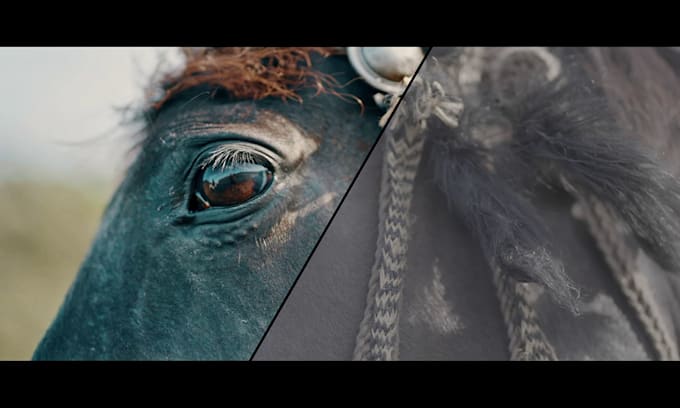 do professional colour grading in davinci resolve