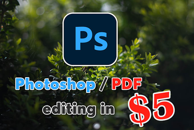 amazon, ebay, shopify product background removal with guidelines