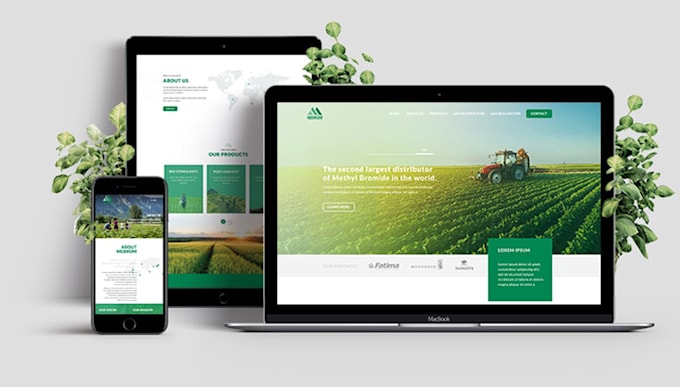 design a responsive website