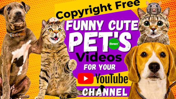make monetizable cute funny pets compilation videos