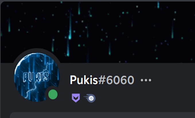 make you a professional discord server