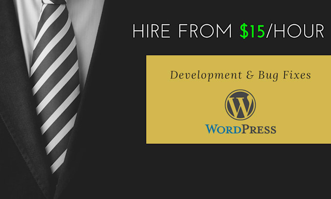 code or customize any wordpress theme
