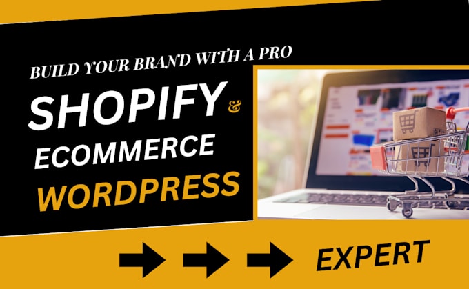 design and build a professional shopify or ecommerce website