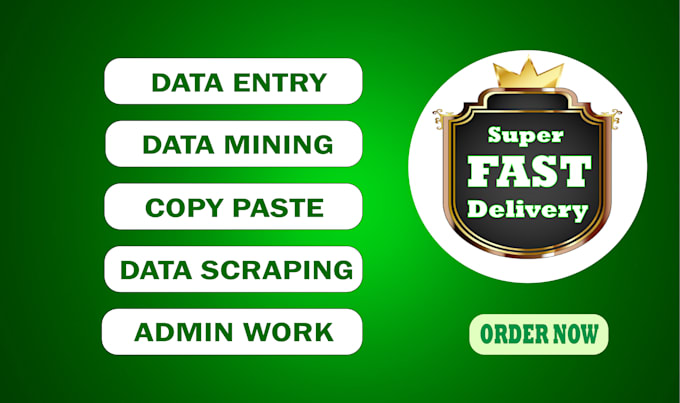 be your virtual assistant for data entry, web research