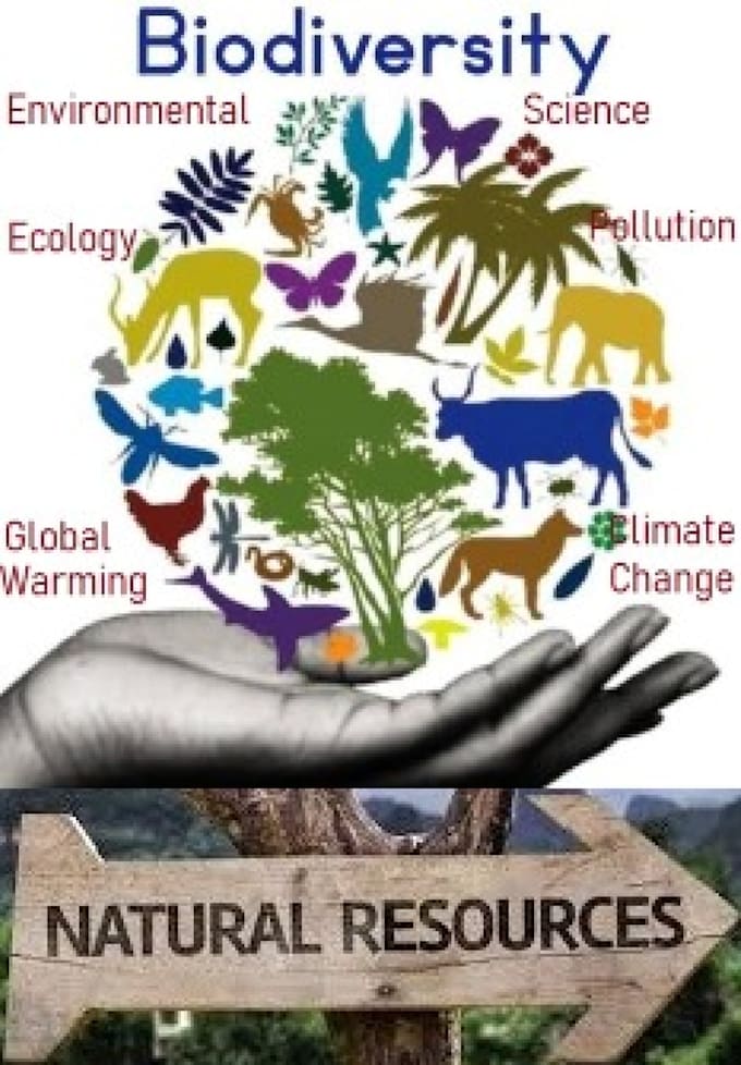 do biodiversity, sampling, pollution, and data analysis