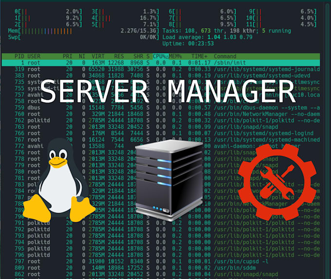 set up or manage your server